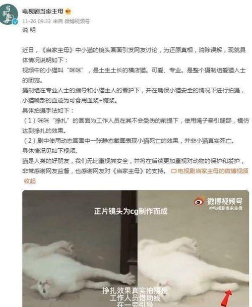 群演爆料大全视频播放,揭秘影视幕后精彩瞬间